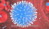 細胞壁醫(yī)學原理三維動畫